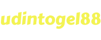 udintogel88  logo